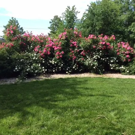 Podere Casino * Mezzolara